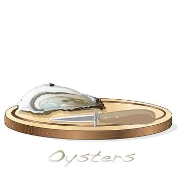 Fresh opened oyster vectorv images set on plate / dish isolated on white back Stock Illustration
