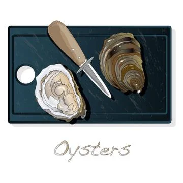 Fresh opened oyster vectorv images set on plate / dish isolated on white back Stock Illustration