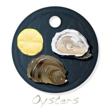 Fresh opened oyster vectorv images set on plate / dish isolated on white back Stock Illustration