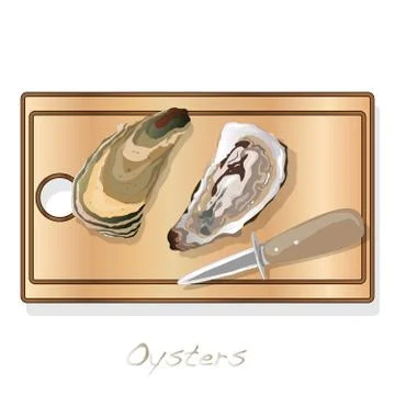 Fresh opened oyster vectorv images set on plate / dish isolated on white back Stock Illustration