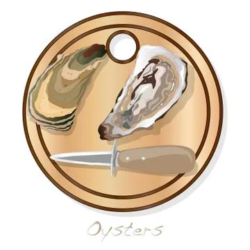 Fresh opened oyster vectorv images set on plate / dish isolated on white back Stock Illustration