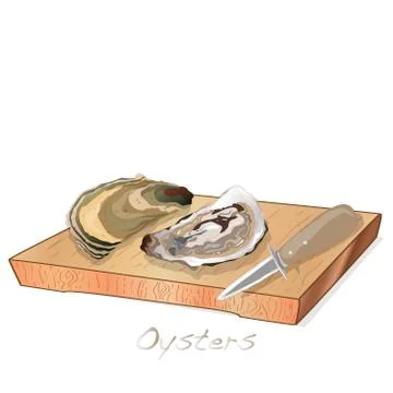 Fresh opened oyster vectorv images set on plate / dish isolated on white back Stock Illustration