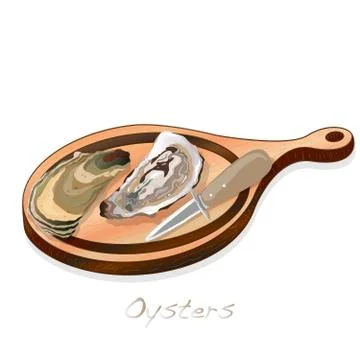 Fresh opened oyster vectorv images set on plate / dish isolated on white back Stock Illustration