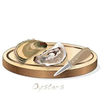 Fresh opened oyster vectorv images set on plate / dish isolated on white back Stock Illustration