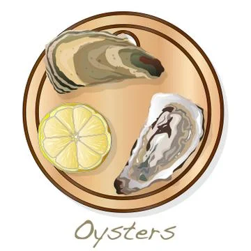 Fresh opened oyster vectorv images set on plate / dish isolated on white back Stock Illustration