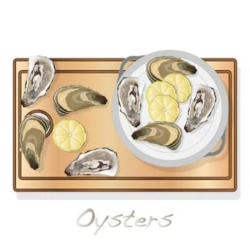 Fresh opened oyster vectorv images set on plate / dish isolated on white back Stock Illustration