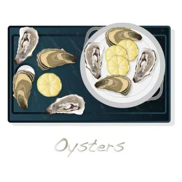Fresh opened oyster vectorv images set on plate / dish isolated on white back Stock Illustration
