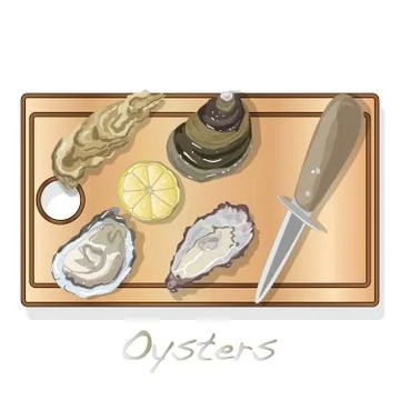Fresh opened oyster vectorv images set on plate / dish isolated on white back Stock Illustration