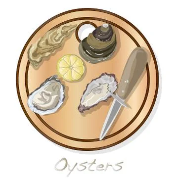 Fresh opened oyster vectorv images set on plate / dish isolated on white back Stock Illustration