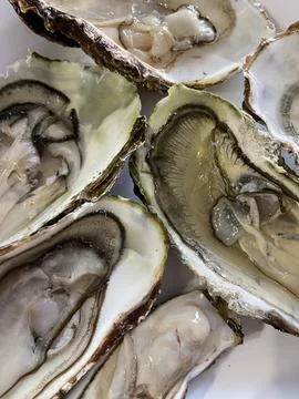 Fresh opened oyster on white background Stock Photos