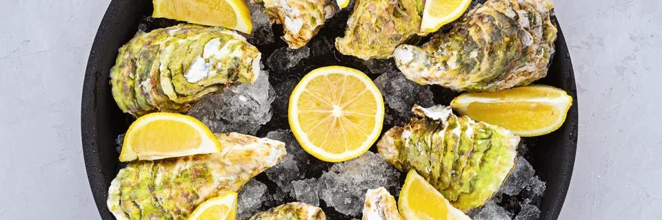 Fresh opened Oysters close-up on black plate with sliced lemon and ice. Healt Stock Photos