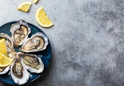 Fresh opened oysters Stock Photos