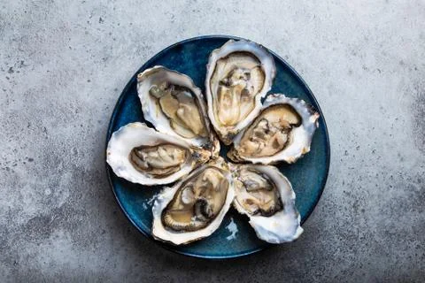 Fresh opened oysters Stock Photos