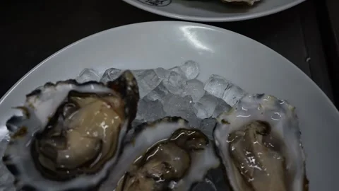 Fresh opened raw oysters served on crushed ice Stock Footage 325561670
