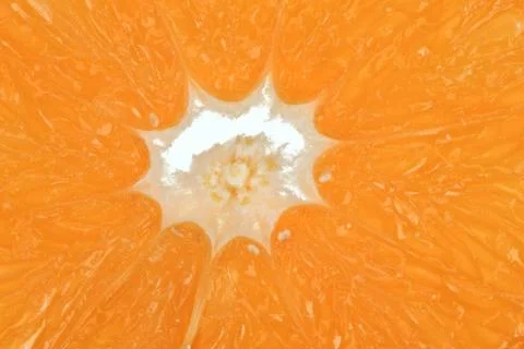 Fresh orange background 写真素材