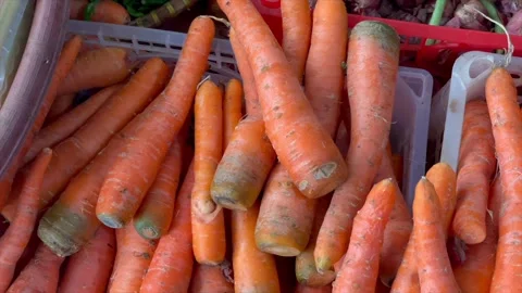 Fresh orange carrots in plastic containers at the market 動画素材 337568021