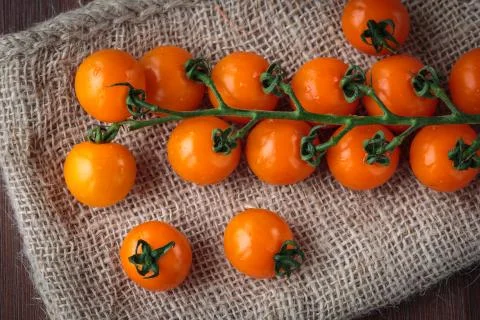Fresh orange cherry tomatoes Stock Photos