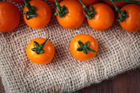 Fresh orange cherry tomatoes Stock Photos