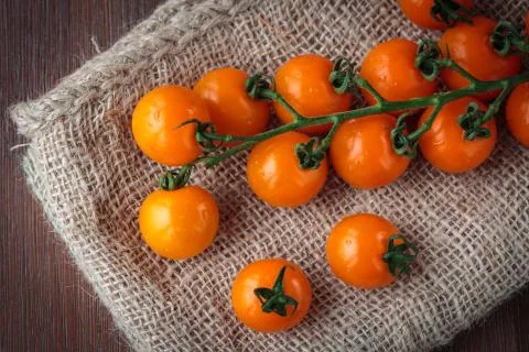 Fresh orange cherry tomatoes 스톡 사진