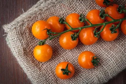 Fresh orange cherry tomatoes Stock Photos