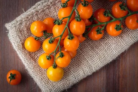 Fresh orange cherry tomatoes Stock Photos