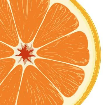Fresh Orange Citrus Fruit Slice Illustration Illustrazione stock