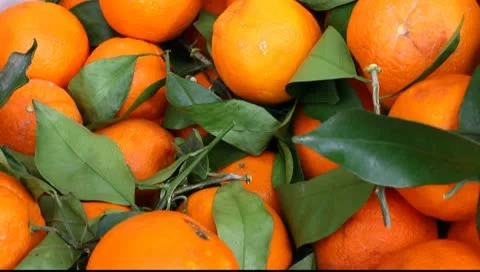 Fresh orange Stock Footage 10793367