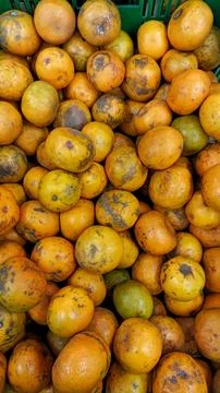 Fresh orange fruit background texture. Foto stock