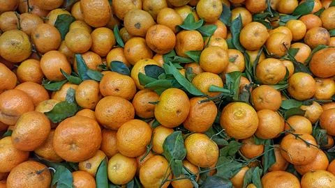 Fresh orange fruit background texture. Foto stock