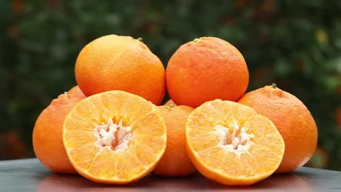 Fresh orange fruit, close-up of an orange Video stock 305821672
