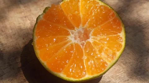 Fresh Orange Fruit Stock-Footage 255041766