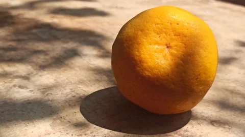Fresh Orange Fruit Stock-Footage 255041849