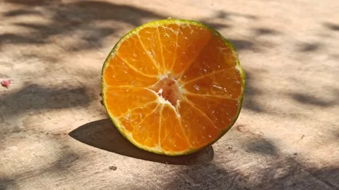 Fresh Orange Fruit Stock-Footage 255041852