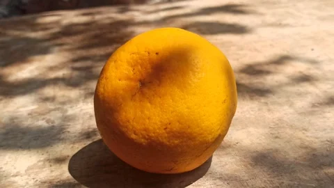 Fresh Orange Fruit Stock Footage 255041871