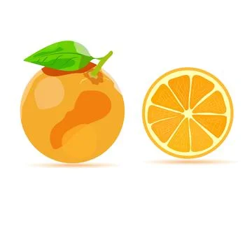 Fresh Orange Fruit with Green Leaf and Half Slice Vector Illustration Ilustración de archivo