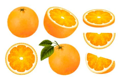 Fresh orange fruit set Stock Illustration