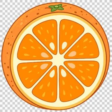 Fresh orange fruit slice cross section Stock-Illustration