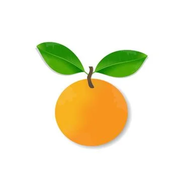Fresh orange Stock Illustration