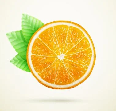 Fresh orange with leaves Illustrazione stock