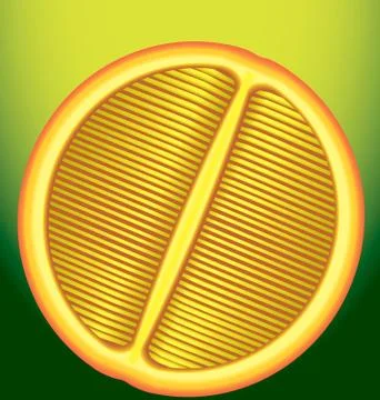 Fresh orange in a longitudinal section on a green background Stock Illustration