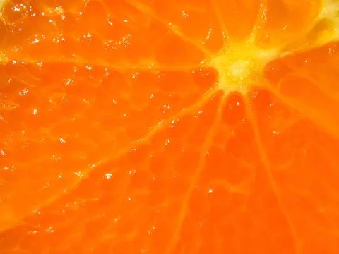 Fresh orange macro Stock Illustration