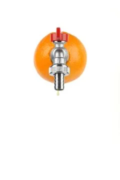 Fresh orange Foto stock