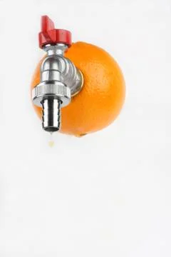 Fresh orange Stock Photos