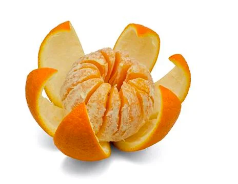 Fresh orange 写真素材