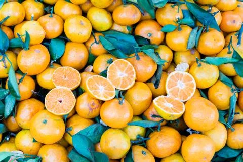Fresh orange Stock Photos