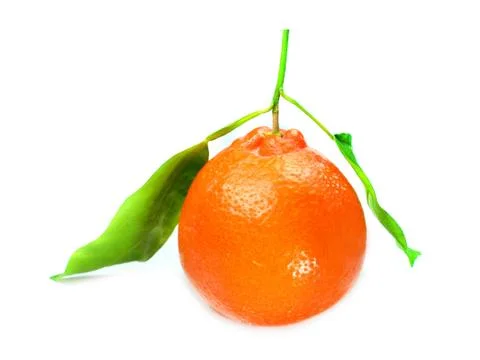 Fresh orange Stock Photos