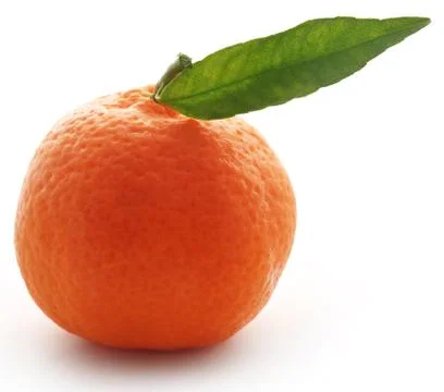 Fresh orange Stock Photos