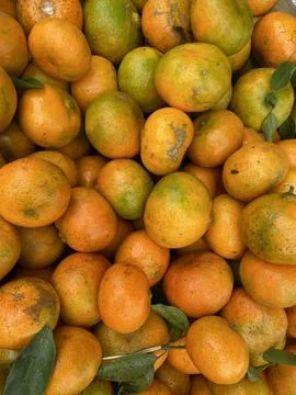Fresh orange Stock Photos
