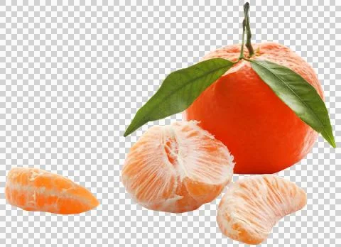 Fresh orange Stock Photos