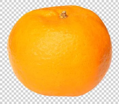 Fresh orange Stock Photos